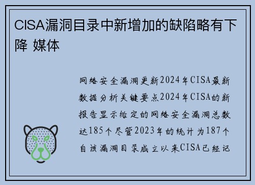 CISA漏洞目录中新增加的缺陷略有下降 媒体